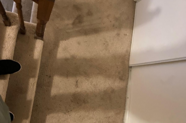 dirty carpets before after dirty carpets before after