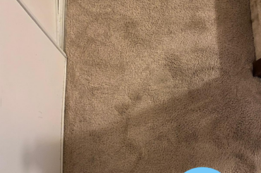 2 clean carpets before after