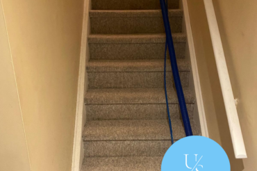 freshly cleaned stairs with carpets freshly cleaned stairs with carpets