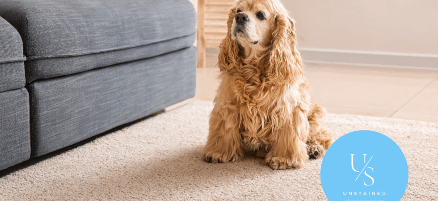 Ultimate Stain Removal Guide: Treating Common Stains Like a Pro